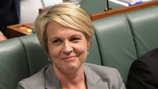 ‘We all are onto her’ Tanya Plibersek vetoed gold mine to save her seat [upl. by Bradley]