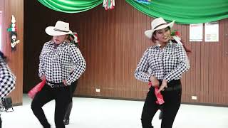 Baile Payaso de Rodeo [upl. by Yerffe]