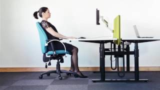 Importance of Posture by Ocee Ergonomics [upl. by Lilly887]