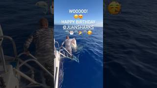 Birthday boops from QUEEN NIKKI 🤩‼️🦈💙 to my juansharks tigershark sharkdiving [upl. by Cirdet309]