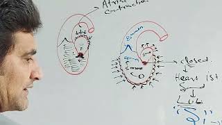 Cardiac cycle [upl. by Egidius773]