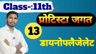 प्रोटिस्टा जगत 13  Protista kingdom Scienceshow centre  By Suraj sir [upl. by Jeff]