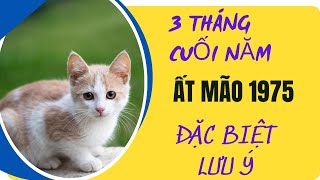 ÔNG ĐỊA CẢNH BÁO tuổi Ất Mão 1975 3 tháng cuối năm 2024 ts [upl. by Karin510]