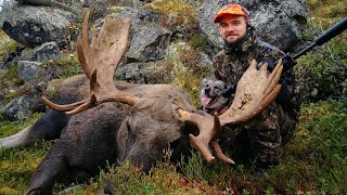 Moose Hunt  My 8th Moose 2017 [upl. by Mathi]