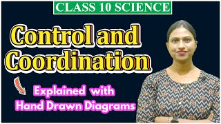 Control and Coordination One Shot Class 10 Science for Board [upl. by Eliza771]