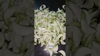 Guess the flower name 💮flowers bengalifood viralvideo [upl. by Serilda]