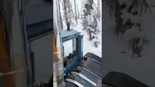 CAT Skiing skiing snow adventure mtb colorado mountains nature life lifestyle fun love [upl. by Kalie178]