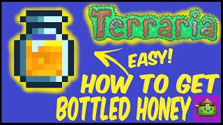 How To Get Bottled Honey In Terraria  Terraria 1449 [upl. by Yddur]