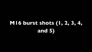 M16 Burst Shots Sound Effect [upl. by Euqinoj]