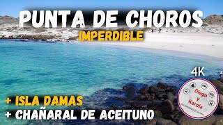 PUNTA DE CHOROS ISLA DAMAS Y CHAÑARAL DE ACEITUNO  CHILE  4K [upl. by Brouwer]