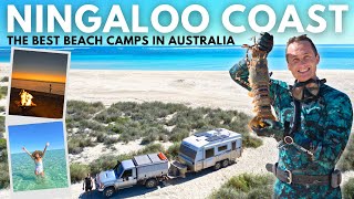 The BEST Camps on Ningaloo Station South Lefroy Bay amp Winderabandi Point  Travel Australia EP32 [upl. by Myrah207]