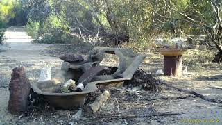 Malleefowl pair wandering around at our morning bird hide water point [upl. by Virgie]