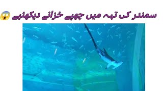 Abu Dahbi Baniyasسمندر کی تہہ میں چھپے خزانے دیکھئیے 😱 Voiceofsyedamaimoona3 [upl. by Artied986]