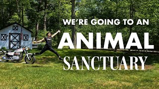 Moto Trip to Animal Sanctuary Norton Massachusetts [upl. by Winona]