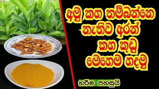 අමු කහ තම්බන්නෙ නැතිව කහ කුඩු හදන විදිය  IWUM PIHUM KALAWA [upl. by Anilak]