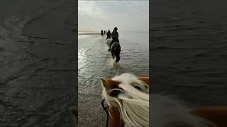 VikiSarina galloppieren durchs Meer 🏇 großen Wunsch erfüllt  Reiten am Strand ✨ ViktoriaSarina [upl. by Asilanom]