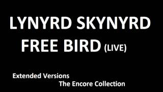 Lynyrd Skynyrd  Free Bird live extended version [upl. by Elsinore]