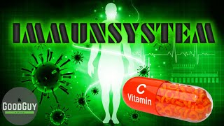 Vitamin C für dein Immunsystem 5 Punkte wie Vitamin C dich extrem vor Erregern schützt [upl. by Aisanahta813]