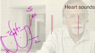 Auscultation  Heart sounds [upl. by Nickerson]