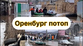 Оренбург паводок потоп Овчинный двор Весенний СНТ Заря Ивановка Уровень растет [upl. by Adnuhser]