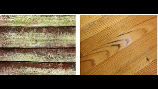 how to clean mold off wood [upl. by Alfeus]