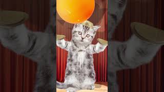 I did it 4  ping pong ball song funny pets funny cat animation  healing  재미있는 고양이 애니메이션 힐링샵 [upl. by Anitsirc]