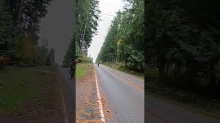 whidbey Island 🇺🇸 paseo en bicicleta [upl. by Darla]