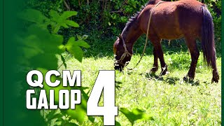 QCM GALOP 4 2 [upl. by Hazem]