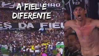 LINDA FESTA DA TORCIDA DO CORINTHIANS APÓS CLASSIFICAÇÃO CONTRA O GRÊMIO [upl. by Worlock]