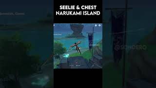 Seelie and Chest Narukami Island [upl. by Ailb]