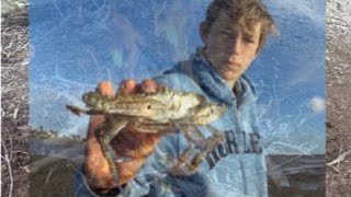 SAND CRABS caught Using a crab pot Catch And Cook [upl. by Alih793]