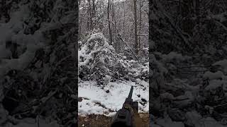 Tir gros sanglier dans la neige hunting wildboar hunter shorts shortvideo short repost [upl. by Enomaj9]