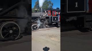 Steam Locomotive at Roots of Motive Power steamtrain steamlocomotive train [upl. by Alul]