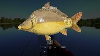 Amber lake Russian Fishing 4 297 mjplay rf4 spot [upl. by Oswald454]