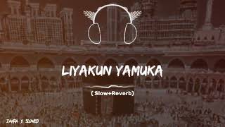 liyakum natt slow reverb viral video 299 million views unfrezzmyaccount dute trending [upl. by Dorolisa653]