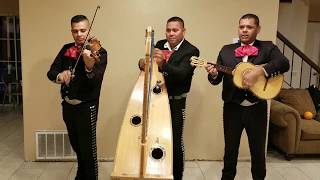 El Son De La Negra quotMariachi Trio Generacion De Sacramentoquot [upl. by Oicneserc50]