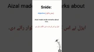 Snide sentence snide meaning in Urdu snide adjective [upl. by Notreve771]