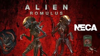 Neca Alien RomulusUltimate Scorched Xenomorph figure and Accessory Set First Thoughts and Look [upl. by Etyak]