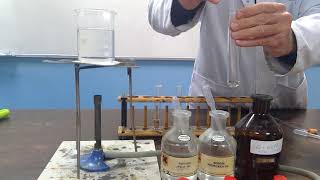 Demonstration of Tollens Reagent [upl. by Heidie953]