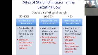 Dr Limin Kung Jr on Starch Digestibility [upl. by Apfelstadt]