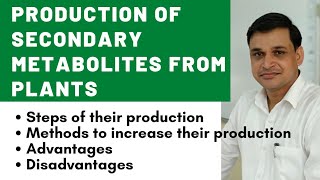 Production of secondary metabolites from plants and their advantages [upl. by Ottillia696]