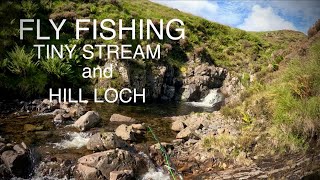 Small Stream Dry Fly Fishing and success at Loch Skeen [upl. by Sturdivant]