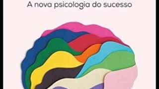 mindset audiobook Livro MindSet  Capítulo 06 Parte I Relacionamentos [upl. by Hairakcaz]