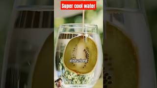 I Tested Supercooled Water experiment drink scienceexperiment diy hacks foryou viral video [upl. by Yema729]