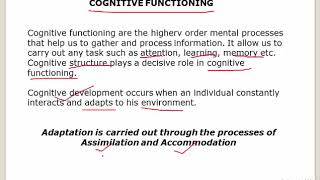 JEAN PIAGETS THEORY OF COGNITIVE DEVELOPMENT PART 1 In Hindi [upl. by Koal]