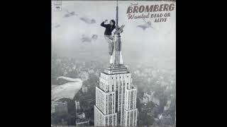 David Bromberg  The New Lee Highway Blues 1974 [upl. by Areek]