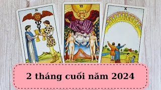 Tarot 2 tháng cuối năm 2024 ChubbyTarot Tarot Reading [upl. by Onoitna]