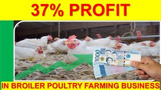 Raising Your Broilers with Feeding Guide amp Return of Investment in Poultry Business Tagalog [upl. by Attennaj]