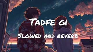 TadfeGi slowed and reverb OfficialsongJorgeGillJorgeGillMusicPunjabiSong2024 [upl. by Ecnahs]