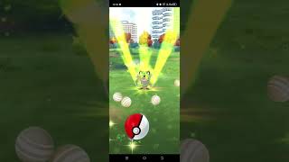 Claiming Special Research Tropius Galarian Meowth amp Skiddo pokemongo osaka [upl. by Wagstaff]